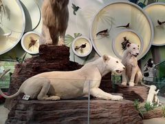 -陕西自然博物馆