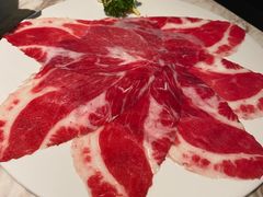 -汤城·料青山
