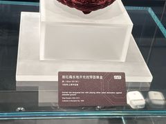 -广西壮族自治区博物馆