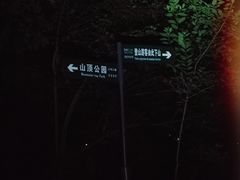-紫金山山顶公园