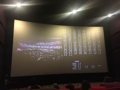 -武汉华夏国际影城(鲁广店)