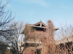-善化寺