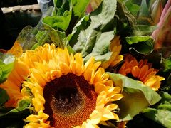 -园林美食城·本土农家菜(杨和镇店)