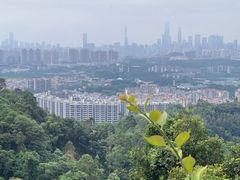 -火炉山森林公园