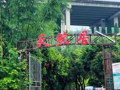 -东莞市大岭山森林公园