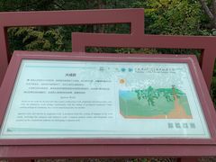 -白草畔自然风景区