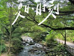 -广州市石门国家森林公园