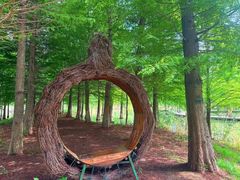 -泗洪洪泽湖湿地景区