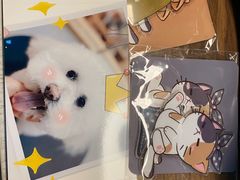 -佐罗家宠物馆·猫文化馆(紫霞路店)