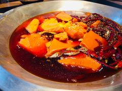 -王婆乔鲜鱼自助火锅(蜀汉路店)