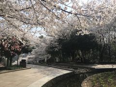 -杭州少年儿童公园