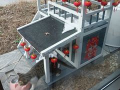 -筠咖啡西餐厅(上海国展宝龙丽筠酒店)