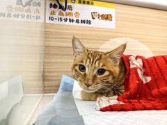 -达爱动物医院·犬猫分区·CT·复杂眼科(远洋山水分院)