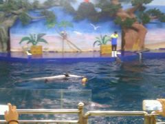 -石家庄市动物园