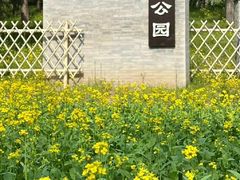 -北坞公园