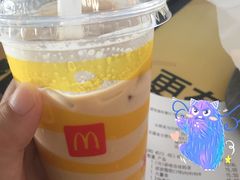 -麦当劳(高铁南站店)