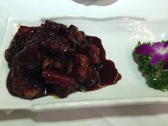 -雪园上海饭店(港湾1号店)