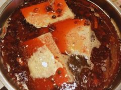 -大胖骨汤火锅(裕华店)