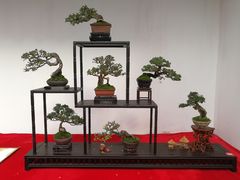 -重庆市江北嘴中央商务区中央公园