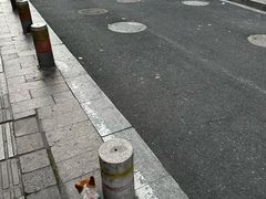 -杭州半山国家森林公园