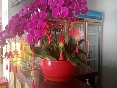 -全聚德烤鸭店(马家堡店)