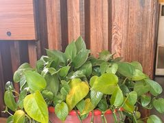 -湘水滨·臭鳜鱼·湘菜(马驹桥店)