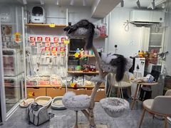 -爱洗澡的猫(天河路店)