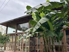 -柠檬花院烤肉·围炉煮茶·草坪团建·生日派对(三圣乡店)