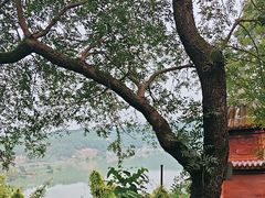 -子昂故里文化旅游区