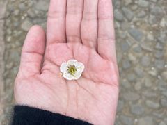 -广州市流溪河国家森林公园