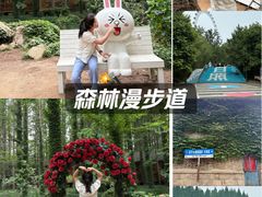 -日照海滨国家森林公园