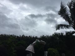 -碧桂园十里银滩