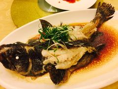 珍珠龙胆-华兴大酒楼(亿宝大厦店)