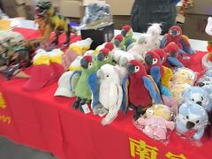 -南宫五洲植物乐园