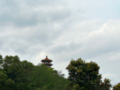 -深圳仙湖植物园