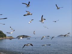 -银沙滩浴场