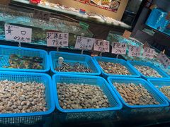 -蚝得喜海鲜(东城店)