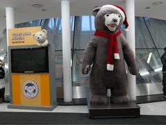 -济州岛泰迪熊博物馆