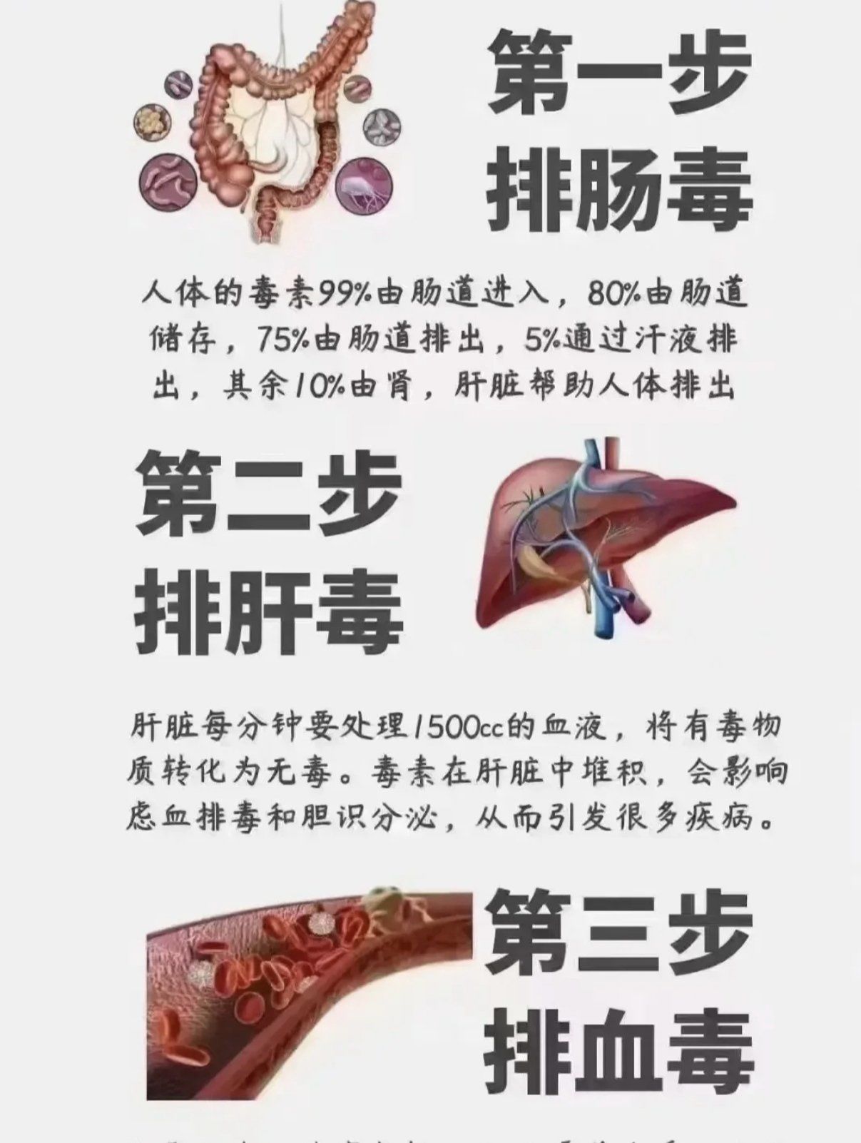 排毒三步骤