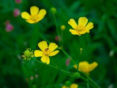 -十九峰景区-倒脱靴