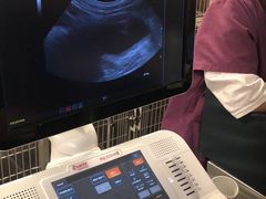 -爱诺耐芙动物医院(万博店)