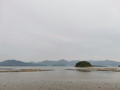 -四明山国家森林公园