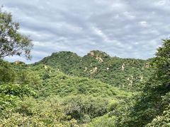 -大岭沟猕猴桃谷风景区