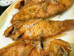 -吴记富苑(朝阳店)