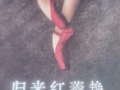 -重庆国泰艺术中心