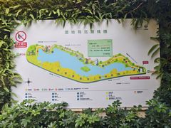-华侨城湿地公园