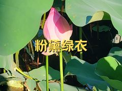 -南翠屏公园