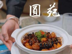 -圆苑(静安寺店)