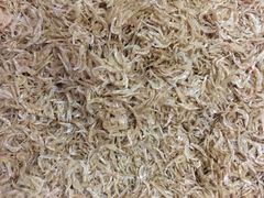 -甜心贝拉(西平路店)