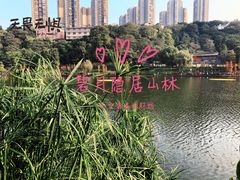 -重庆彩云湖湿地公园